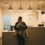 Urgence vétérinaire à Perpignan : adresses et contacts