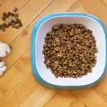 Croquettes Pro Plan pour chien : ce que dit la composition