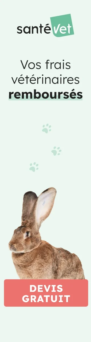 Santévet : devis d'assurance pour votre animal