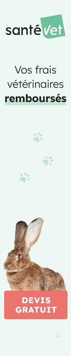Santévet : devis d'assurance pour votre animal